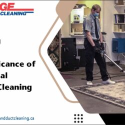 Preserving Elegance The Significance of Professional Area Rug Cleaning
